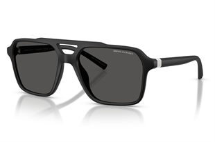 Armani Exchange 0AX4166SU 807887 57