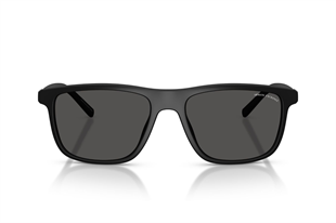 Armani Exchange 0AX4167SU 807887 56