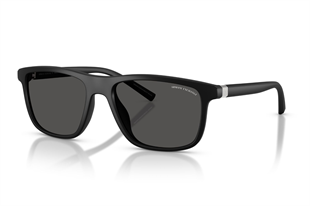 Armani Exchange 0AX4167SU 807887 56