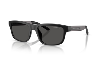 Armani Exchange 0AX4169SU 500187 55