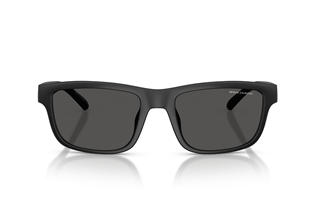 Armani Exchange 0AX4169SU 500187 55