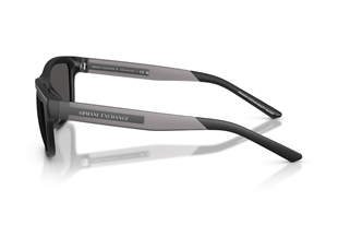 Armani Exchange 0AX4169SU 500187 55