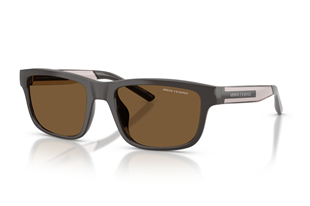 Armani Exchange 0AX4169SU 840573 55