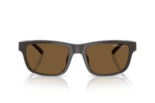 Armani Exchange 0AX4169SU 840573 55
