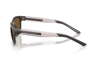 Armani Exchange 0AX4169SU 840573 55