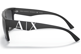 Armani Exchange 4113S 8078T3 55 Unisex Güneş Gözlüğü