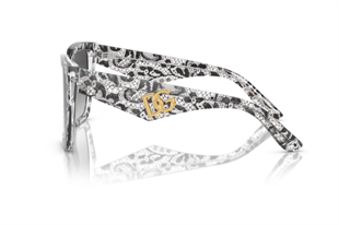 Dolce & Gabbana 4438 32878G 55