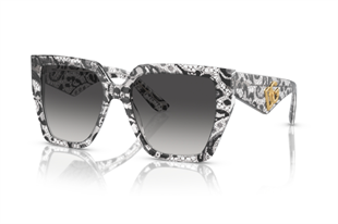 Dolce & Gabbana 4438 32878G 55