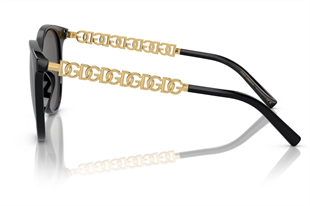 Dolce & Gabbana 6189 501/87 52 Kadın Güneş Gözlüğü