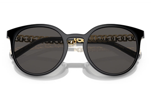 Dolce & Gabbana 6189 501/87 52 Kadın Güneş Gözlüğü
