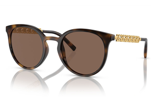 Dolce & Gabbana 6189 502/73 Kadın Güneş Gözlüğü