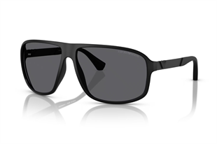 Emporio Armani 0EA4029 5001T3 64