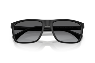 Emporio Armani 0EA4033 5229T3 56