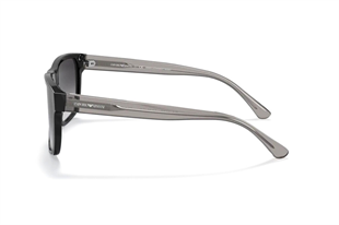 Emporio Armani 0EA4163 58758G 56 Erkek Güneş Gözlüğü