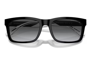 Emporio Armani 0EA4224 57 Erkek Güneş Gözlüğü