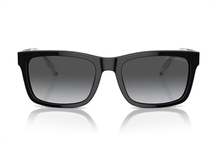 Emporio Armani 0EA4224 57 Erkek Güneş Gözlüğü