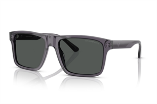Emporio Armani 0EA4232 610687 57
