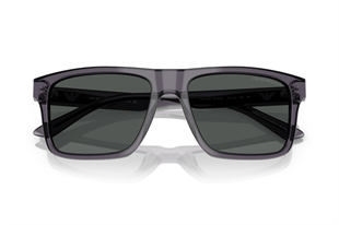Emporio Armani 0EA4232 610687 57