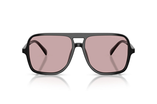 Emporio Armani 0EA4252U 501773 57 Unisex Güneş Gözlüğü