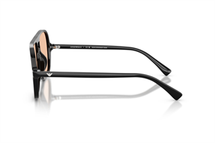Emporio Armani 0EA4252U 501793 57 Kadın Güneş Gözlüğü
