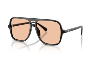 Emporio Armani 0EA4252U 501793 57 Kadın Güneş Gözlüğü