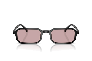 Emporio Armani 0EA4253U 501773 54 Unisex Güneş Gözlüğü