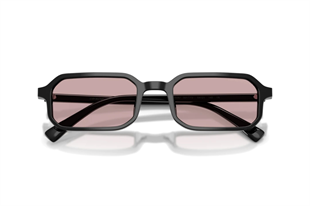 Emporio Armani 0EA4253U 501773 54 Unisex Güneş Gözlüğü