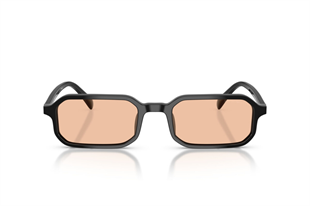 Emporio Armani 0EA4253U 501793 54 Unisex Güneş Gözlüğü