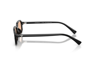 Emporio Armani 0EA4253U 501793 54 Unisex Güneş Gözlüğü