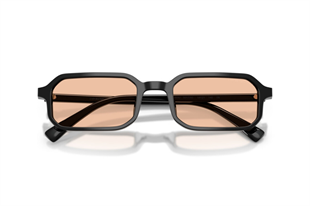 Emporio Armani 0EA4253U 501793 54 Unisex Güneş Gözlüğü