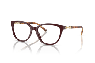 Emporio Armani 3190 5577 53 Mavi Işık Koruma