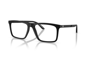 Emporio Armani 3253 5001 55 Mavi Işık Koruma