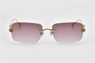 FOR ARTS SAKE ROSE GARDEN SF031CH 60 Kadın Güneş Gözlüğü