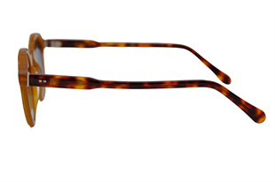 Franco Vital ADOM HONEY 46-22-145 Unisex Güneş Gözlüğü