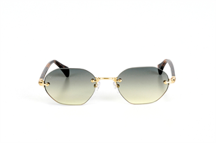 Franco Vital GAVEL (A) GLD YEŞİL-SARI 53 Unisex Güneş Gözlüğü