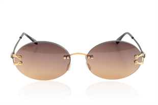 Freddie Mercury 802515 GLD GRY BR 57