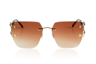 Freddie Mercury 933318 GLD BROWN 55