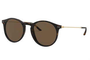 Giorgio Armani 0AR8121 502673 51 Unisex Güneş Gözlüğü
