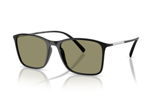 Giorgio Armani 0AR8231U 5017/2A 54