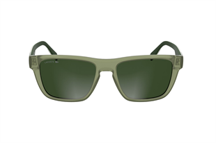 Lacoste 6058S 301 54