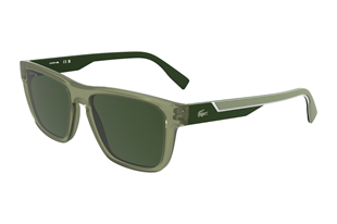 Lacoste 6058S 301 54