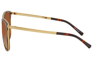 Michael Kors 0MK1010 110113 54 Kadın Güneş Gözlüğü