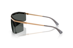 Michael Kors 0MK1169 189987 45 Kadın Güneş Gözlüğü