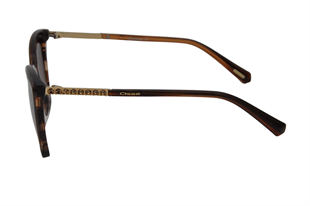 Osse 3224 01 Kadın Güneş Gözlüğü