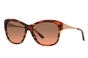 Ralph Lauren 8187 591018 Kadın Güneş Gözlüğü