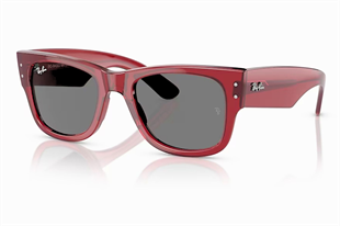 Ray-Ban 0840S 6679B1 51 Unisex Güneş Gözlüğü