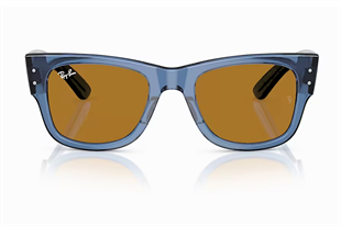 Ray-Ban 0840S 668073 51 Unisex Güneş Gözlüğü