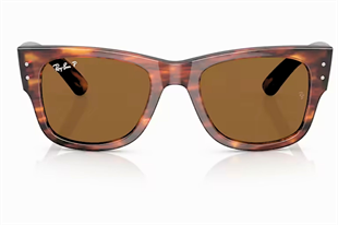 Ray-Ban 0840S 954/57 51 Unisex Güneş Gözlüğü