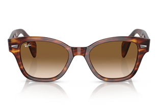 Ray-Ban 0880S 954/51 52 Unisex Güneş Gözlüğü