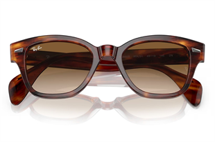 Ray-Ban 0880S 954/51 52 Unisex Güneş Gözlüğü